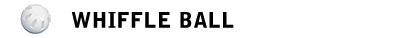 Wiffle Bollards plays in a Wiffle Ball league